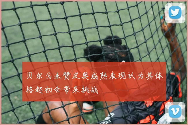 贝尔戈米赞皮奥成熟表现认为其体格起初会带来挑战