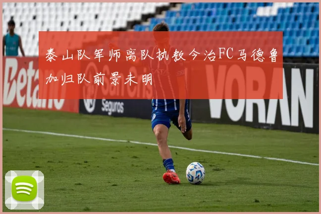 泰山队军师离队执教今治FC马德鲁加归队前景未明